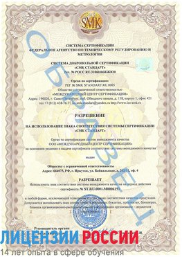 Образец разрешение Боровичи Сертификат ISO 50001
